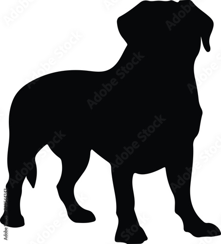 Dogue de Bordeaux silhouette