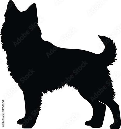 Finnish Spitz silhouette