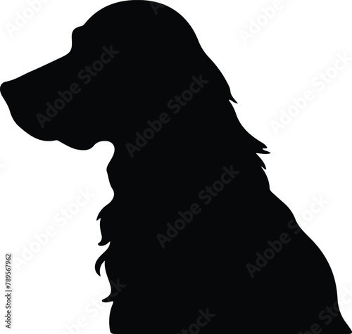 Irish Setter silhouette