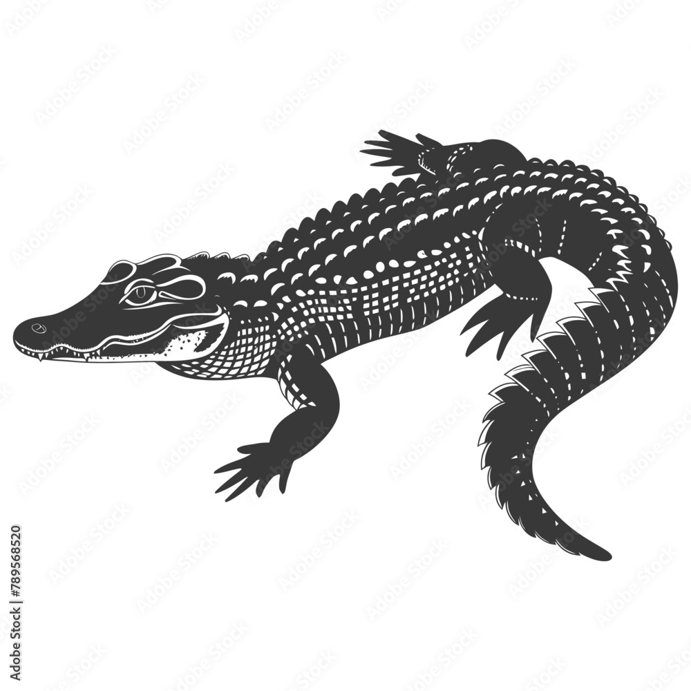 Fototapeta premium Silhouette alligator animal black color only full body