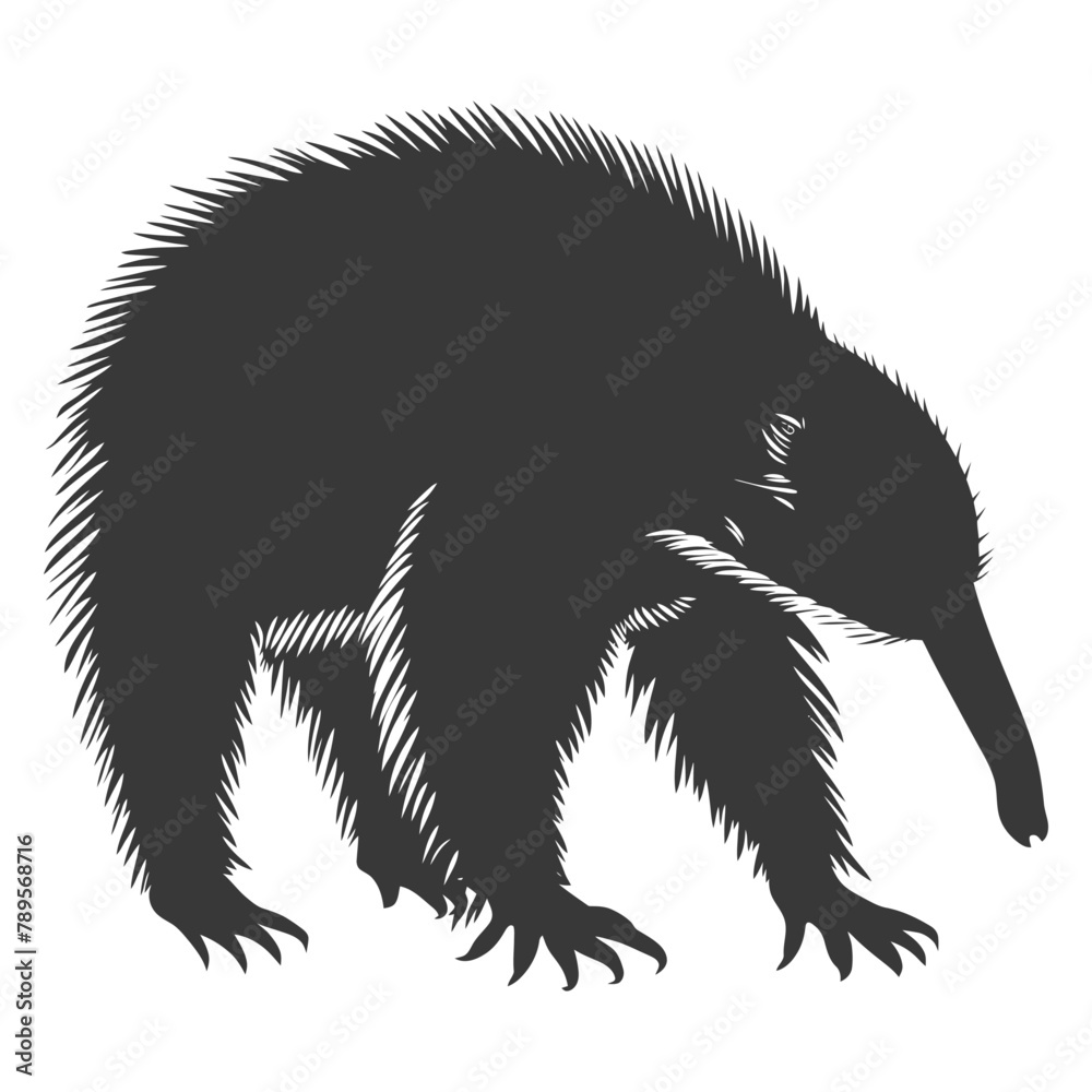 Silhouette Anteater animal black color only full body