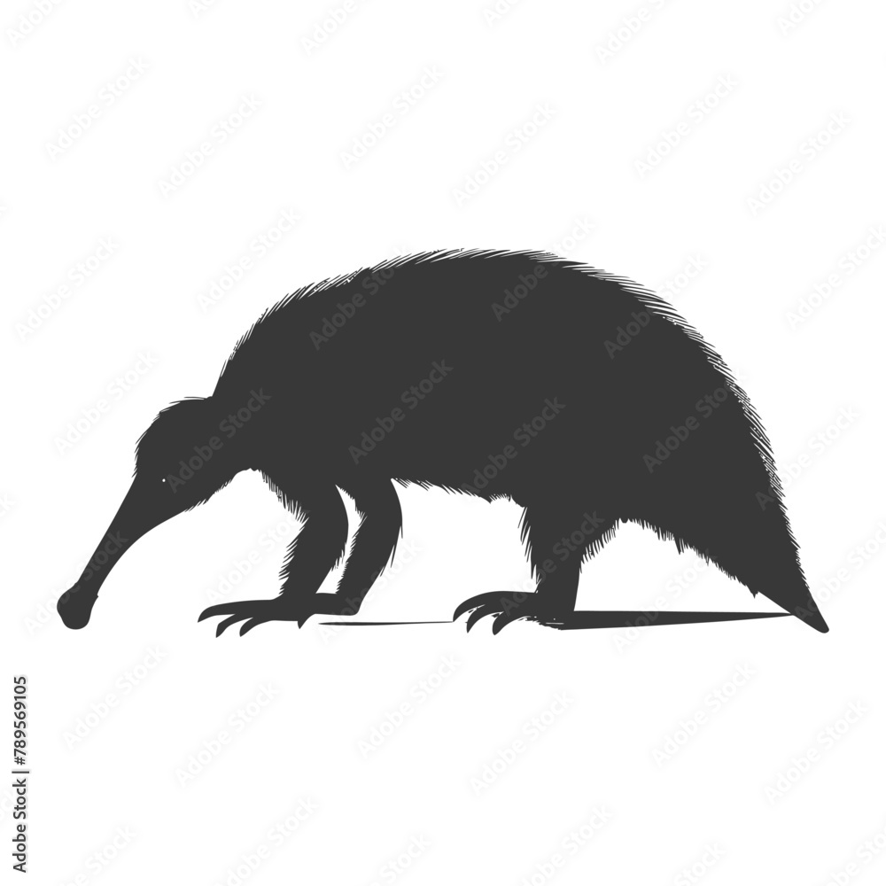 Silhouette Anteater animal black color only full body Silhouette Anteater animal black color only full body