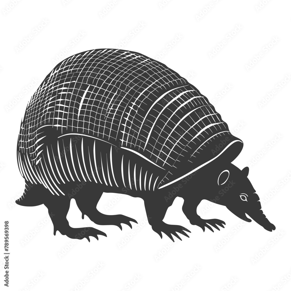 Silhouette armadillo animal black color only full body Silhouette armadillo animal black color only full body