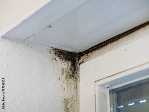 Black mold at the corner of a window frame due to a cold and wet wall. Construction mistake of a residential building causing an unhealthy and dangerous environment.