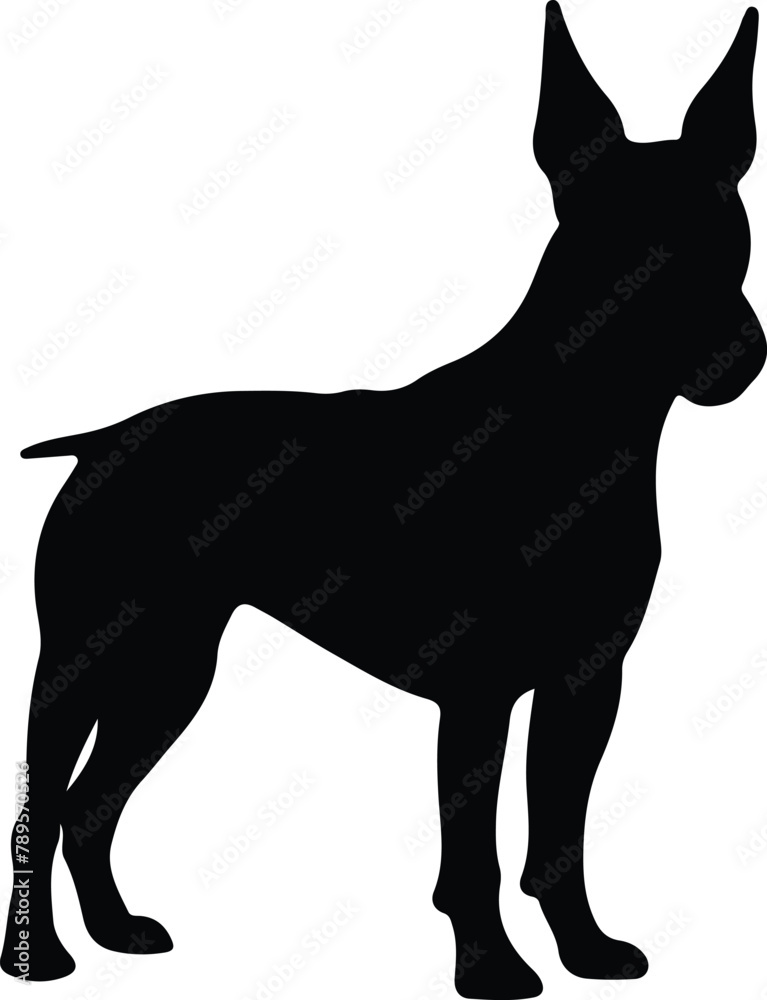 Miniature Bull Terrier silhouette