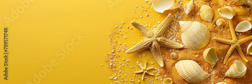 Seashells and starfish on a yellow wooden background.Summer banner concept.