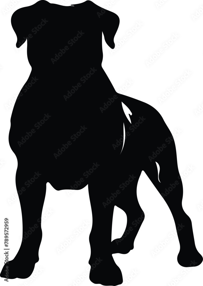 Obraz premium Presa Canario silhouette