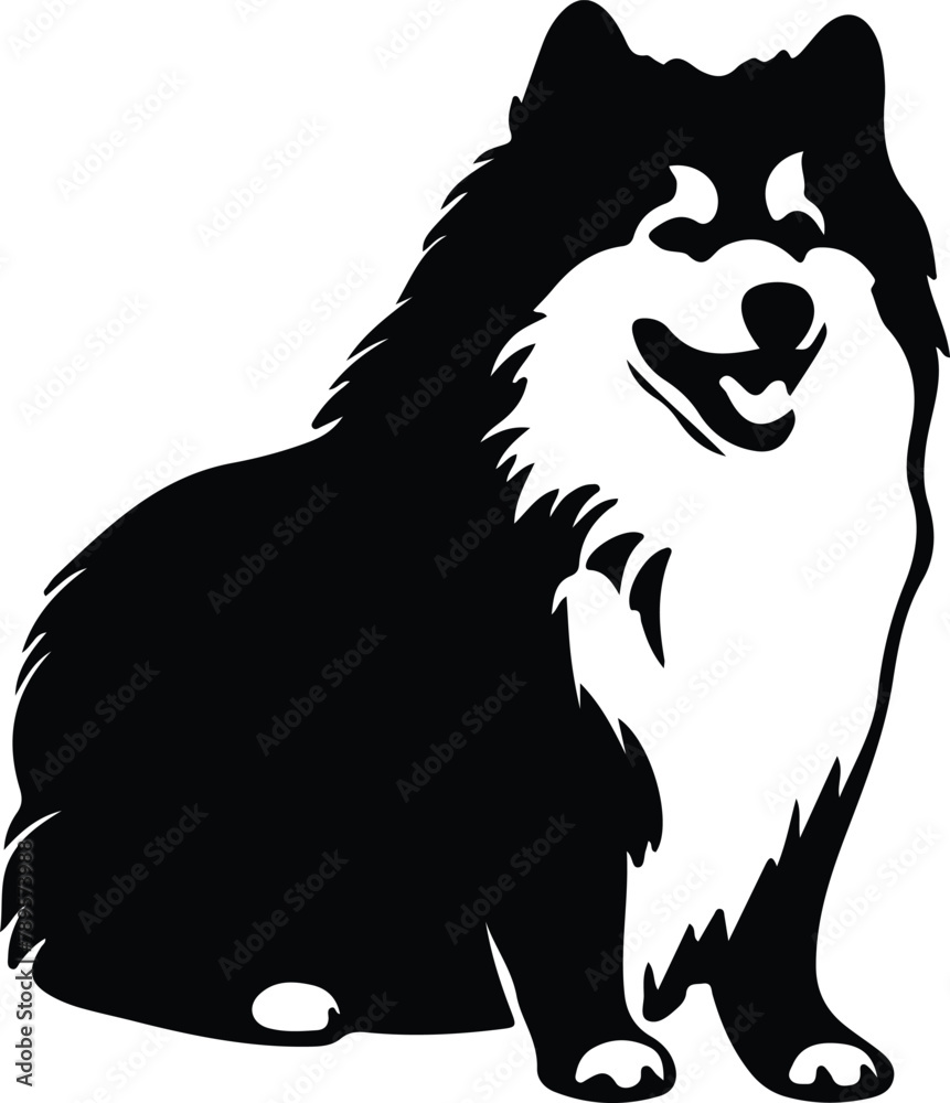 Obraz premium Samoyed silhouette