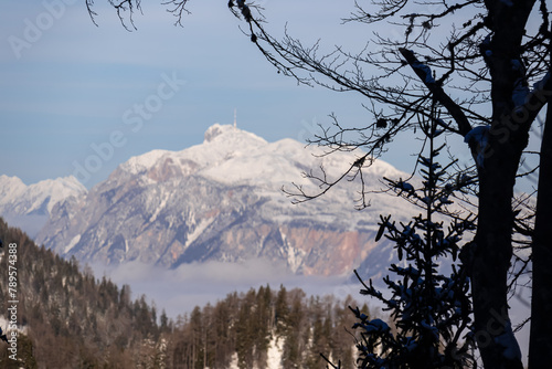 Selective focus on tree with scenic view on snow capped mountain peak of Dobratsch Karawanks, Carinthia, Austria. Winter wonderland in Austrian Alps. Snowshoe hiking through forest and snowy landscape photo