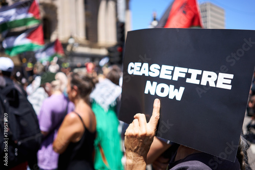 Banner calling for Ceasefire at Palestinian rally photo
