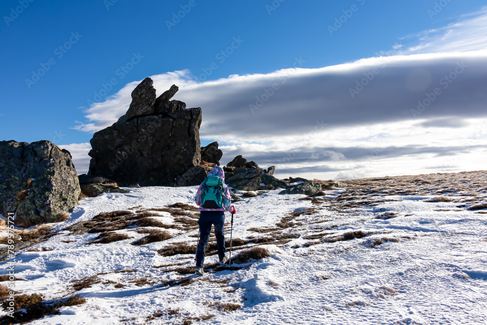 Woman with hiking backpack walking on snow covered alpine meadow on trail from Ladinger Spitz to Geierkogel, Saualpe, Lavanttal Alps, Carinthia, Austria. Snow capped mountain ranges of Austrian Alps - obrazy, fototapety, plakaty 