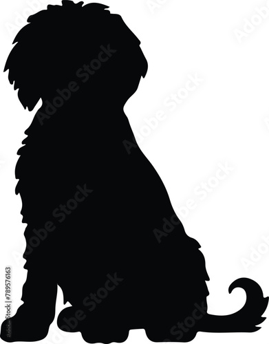 Spanish Water Dog silhouette