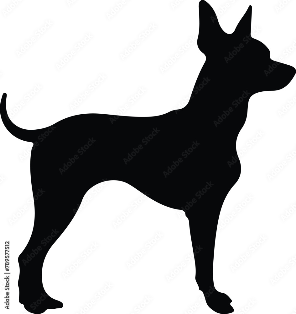 Toy Manchester Terrier silhouette