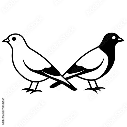 bird pair silhouette vector illustration