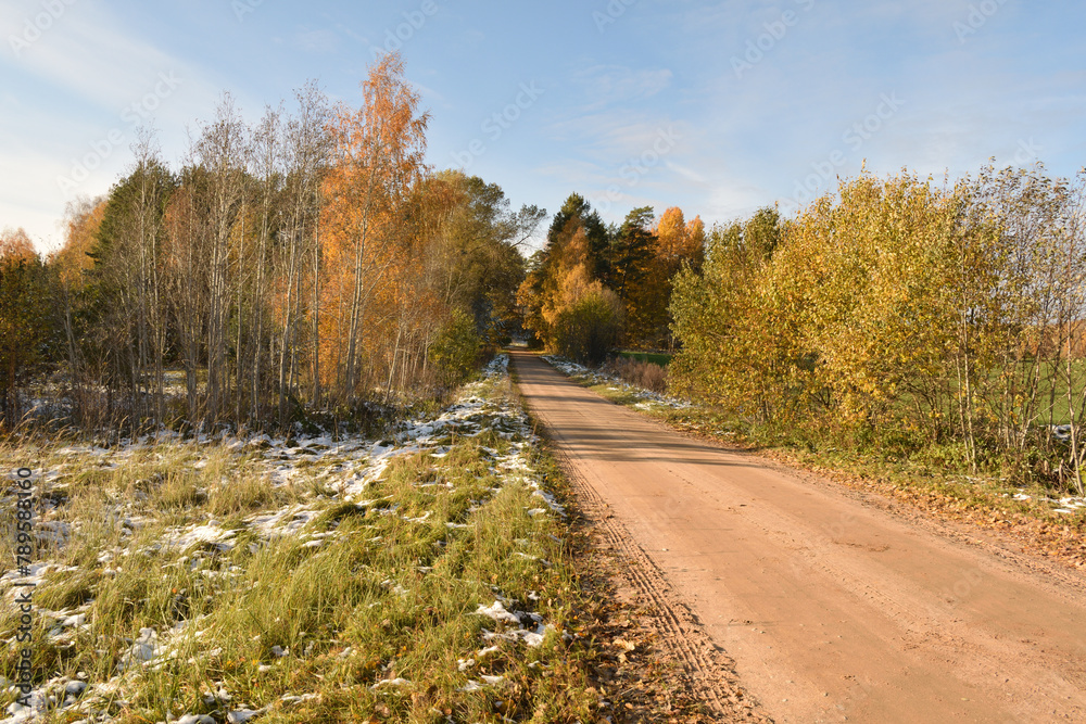 Fototapeta premium Rural road