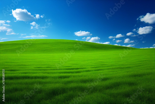 Grass field landscape with blue sky background.  © Airobert