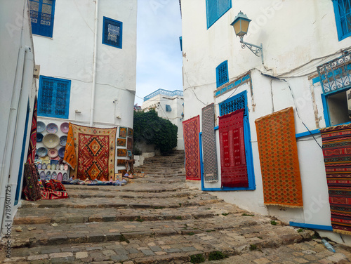 Sidi Bou Said, a famous village with traditional white and blue Tunisian architecture and flowering plants. Tunisia.