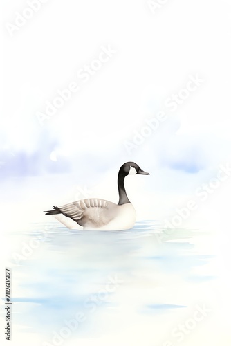 Canada Goose, Canada goose gracefully swimming on a tranquil, misty lake
