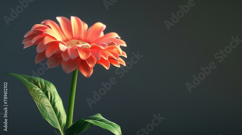 A beautiful 3D rendering of a red gerbera flower in full bloom against a dark background. photo