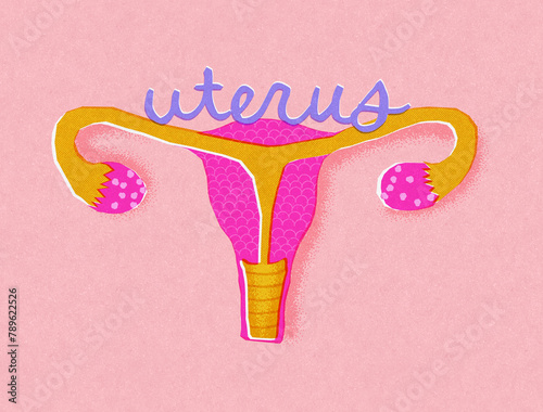 Woman uterus risograph minimal illustration photo