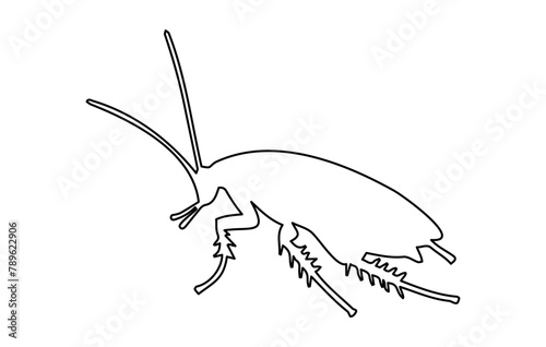 Black outline of cockroach isolated on white surface. Illustration. Icon, sign, pictogram, print. Design element. Pest control and infestation concept for design, print and educational material