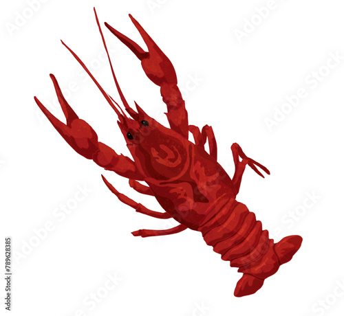 Crawfish Crayfish