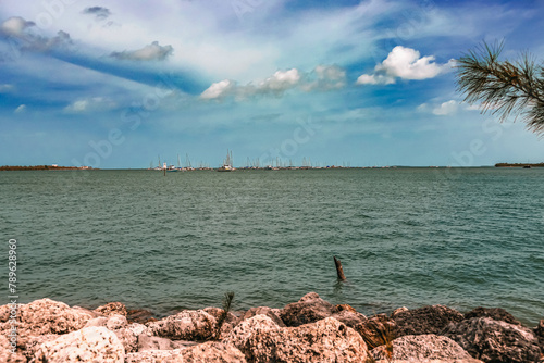 group of sailboats on the ocean