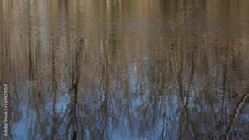 Pond in the backwoods of Ontario, Canada.