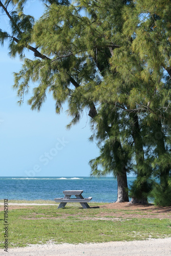 bench on the beach