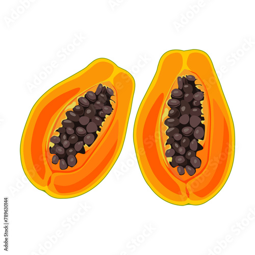juicy orange cut papaya with leaves. Isolated vector summer fruit on white background for design