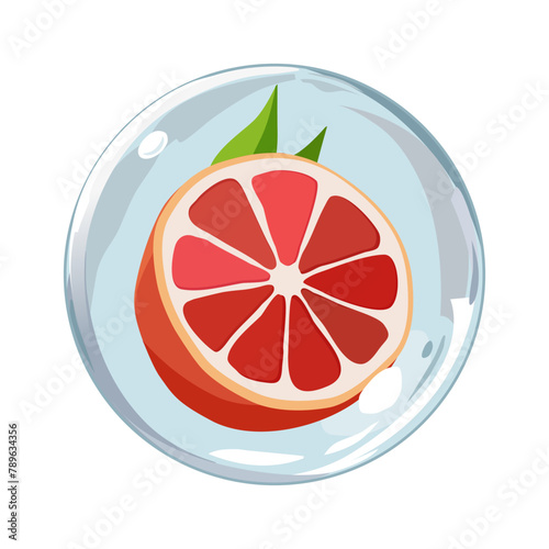 Healthy red grapefruit in air bubble. Isolated vector summer fruit for design