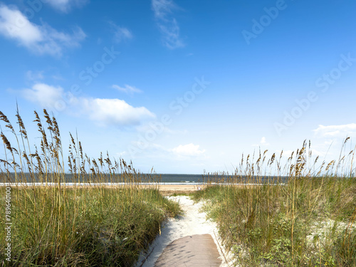 Billede på lærred The shore of the Atlantic Ocean at Fort Clinch State Park in Florida