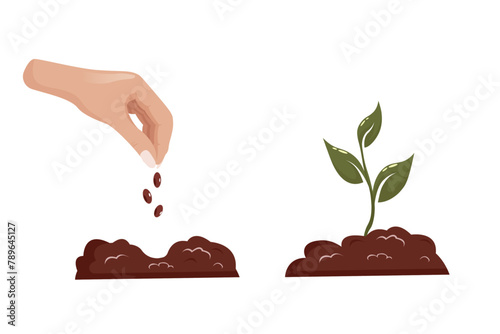 A hand plants a grain in the ground, growing new green plant sprouts. Save ecology and environment. Green plant seedling. Vector sprouts, roots, seeds. Organic creative symbol concept, natural biocosm
