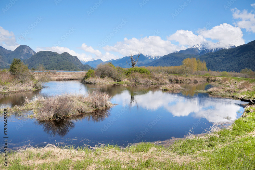 Pitt River Dike Scenic Point during a spring season in Pitt Meadows, British Columbia, Canada