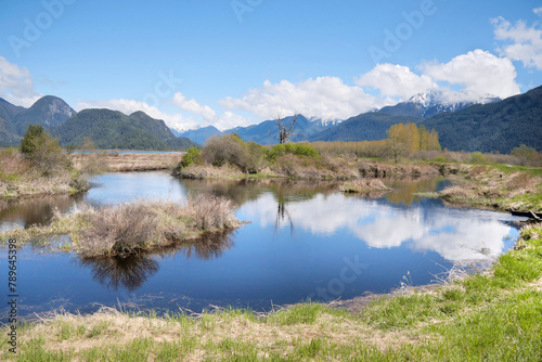 Pitt River Dike Scenic Point during a spring season in Pitt Meadows, British Columbia, Canada