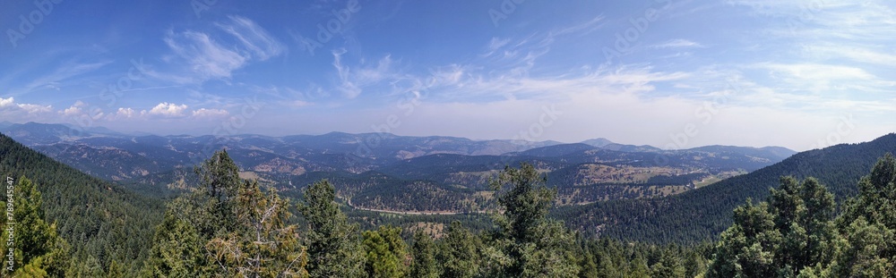Fototapeta premium Bears Panoramic View