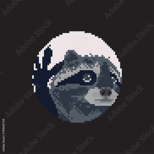 Pedro raccoon, pixel art meme