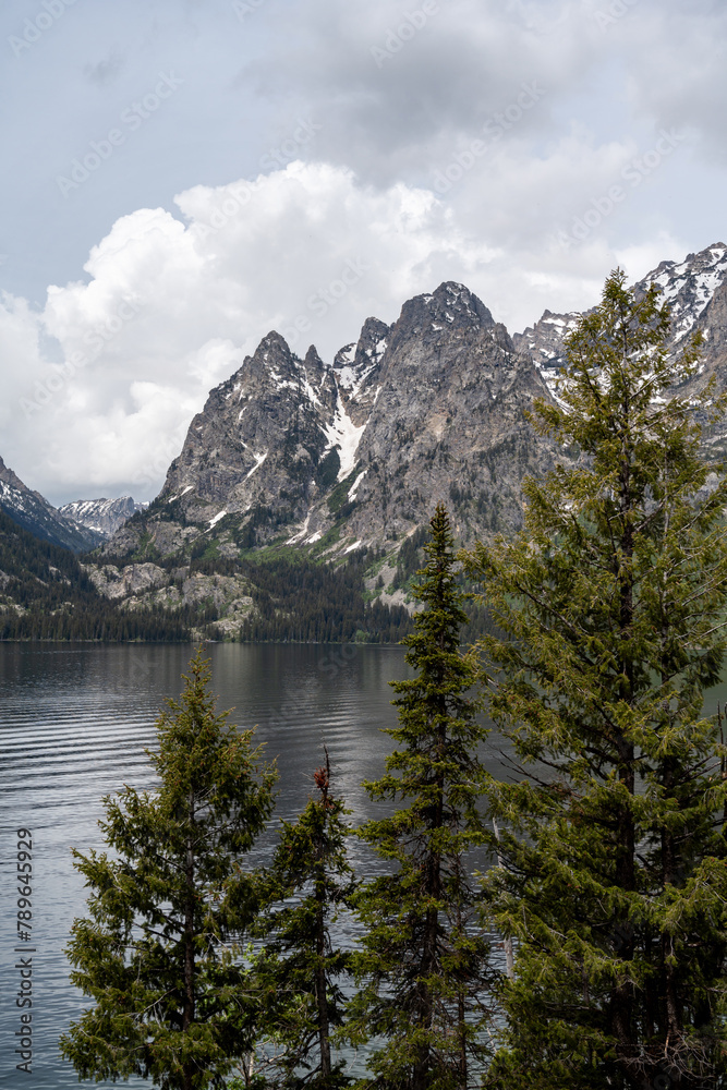 Mountains and view of lake through trees in Grand Teton Mountains and view of lake through trees in Grand Teton