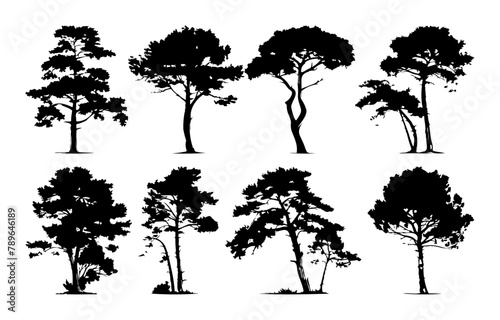 Set of silhouette tree line drawing. Side view set of graphics trees elements outline symbol for architecture and landscape design drawing. Vector isolated illustration in stroke fill in white. Forest