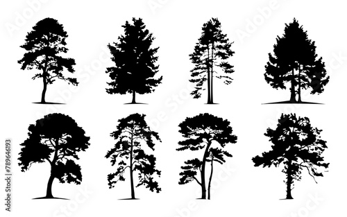 Pine tree silhouette  Minimal style  Side view  set of graphics trees elements outline symbol for architecture and landscape design. Vector illustration  Pinus Sylvestris