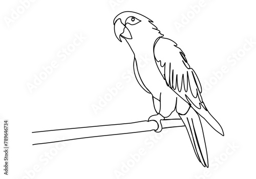 Parrot. One line drawing vector illustration.
