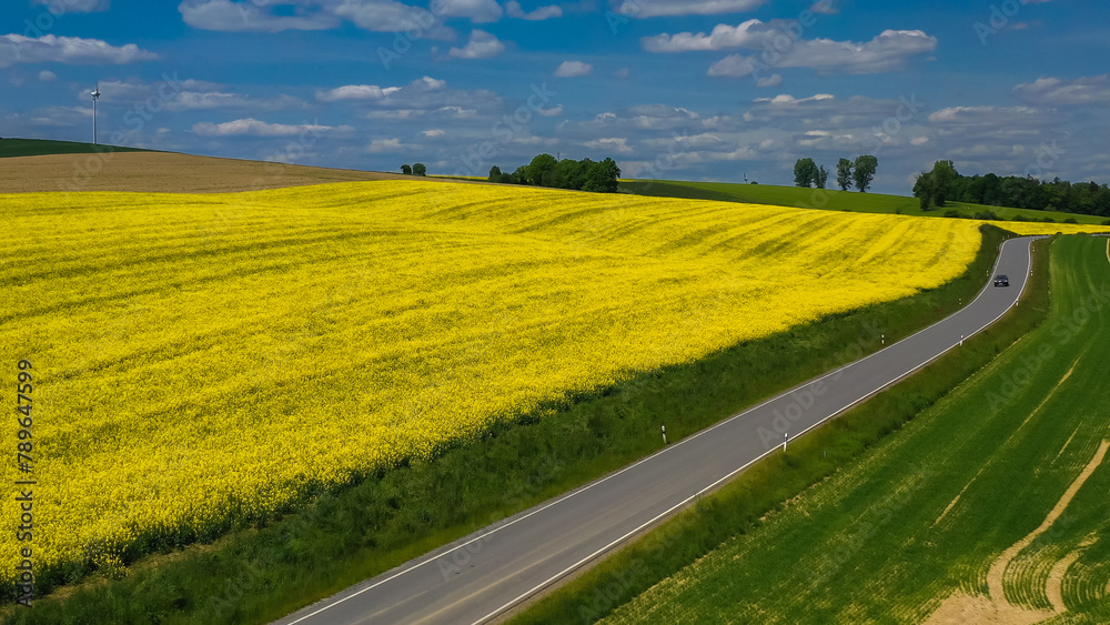 Obraz premium Aerial drone view of yellow rapeseed fields in German countryside