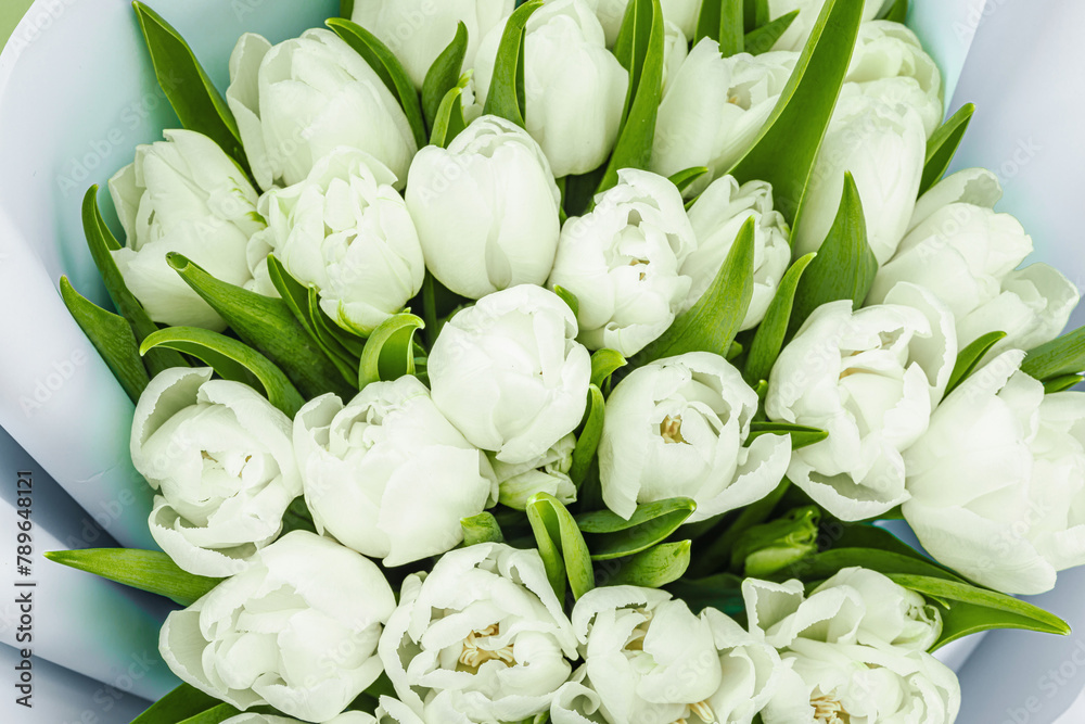 Fototapeta premium A bouquet of white tulips on a pastel green background. Blooming flowers, festive concept