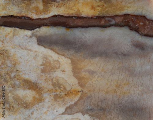 Alxa agate texture
