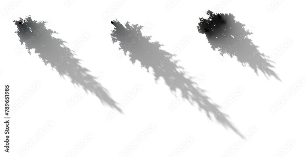 Realistic aesthetic shadow from fir picea pungens tree isolated png on a transparent background perfectly cutout (platanus, ash, alnus, morus, fraxinus, fagus, acer) 