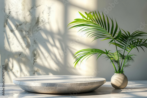Minimalist interior design with an empty round stone plate and a green palm plant on a white marble table  sunlight casting soft shadows. Created with Ai