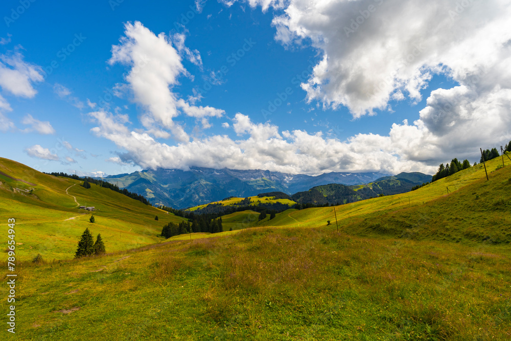 Paysage montagne à châtel en France en été