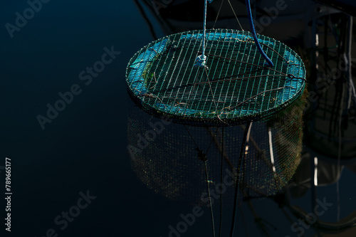 Fish trap floating in the water photo