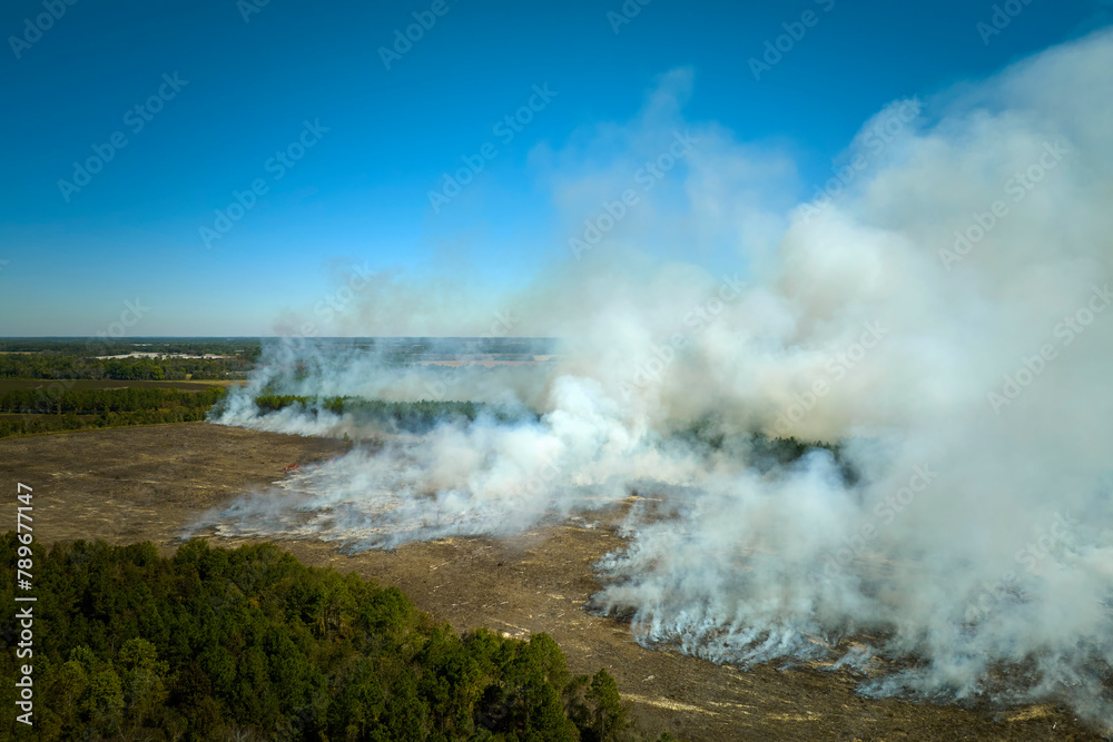 Aerial view of white smoke from forest fire rising up polluting atmosphere. Natural disaster concept