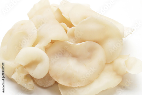 White jelly mushroom or white ear mushroom © Bowonpat